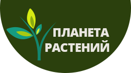 логотип Plant Land
